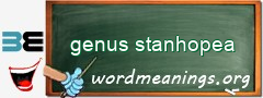 WordMeaning blackboard for genus stanhopea